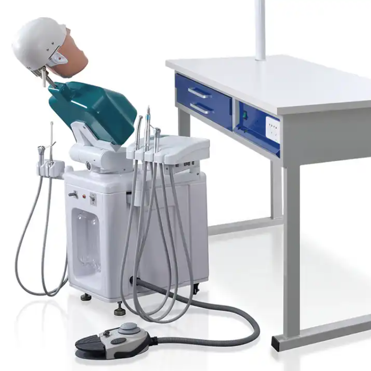 Dental Education Supply Präklinisches System Dentalpuppen-Phantomkopf