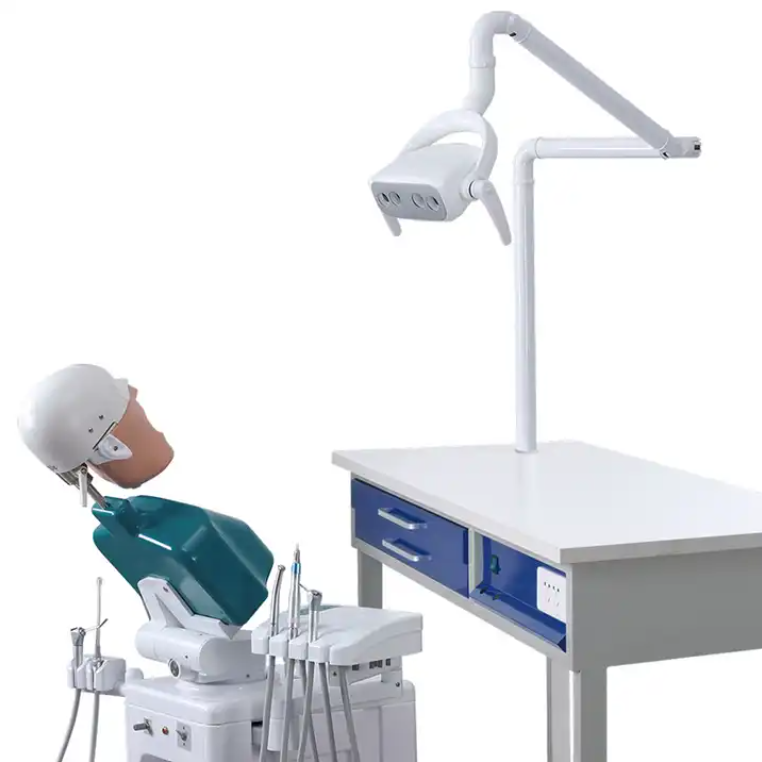 Dental Education Supply Präklinisches System Dentalpuppen-Phantomkopf