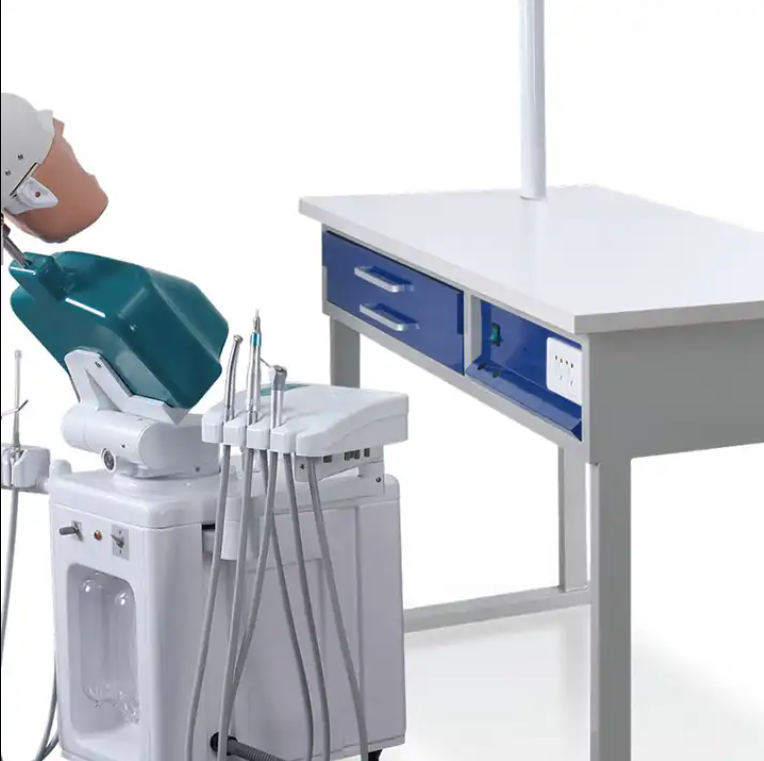 Dental Education Supply Präklinisches System Dentalpuppen-Phantomkopf