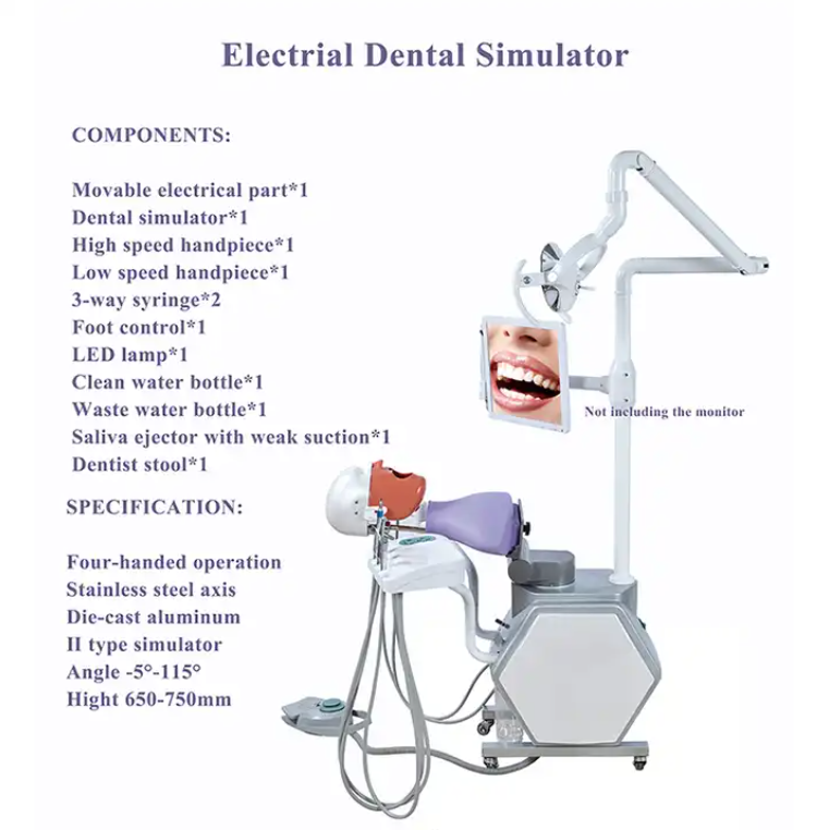 Modell einer vorklinischen Lehr-Studieneinheit, Dental-Phantomkopf-Simulator